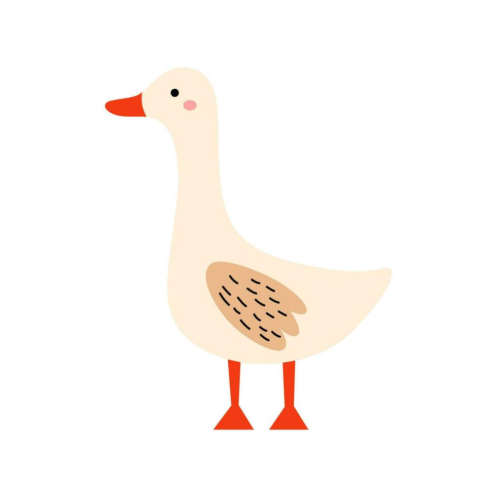 Funny goose isolated on white background. Domestic cartoon bird. Hand drawn flat vector illustration for print.