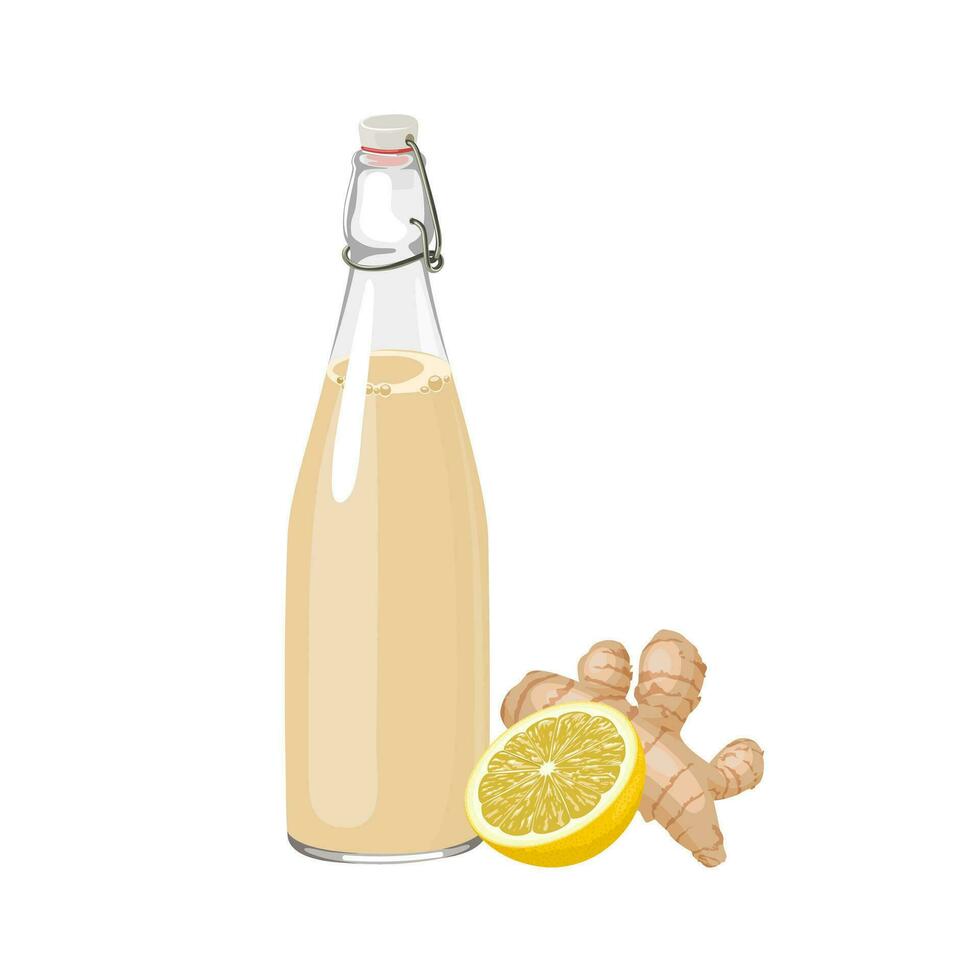 Vector illustration, ginger beer in a bottle, with lemon slices and ginger rhizome, isolated on white background.