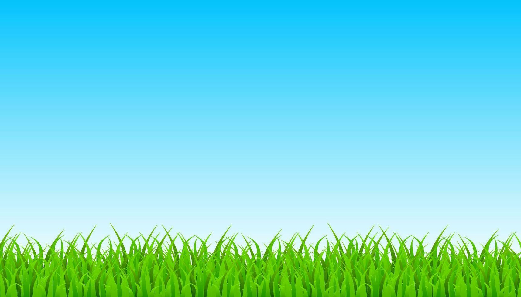 Green Grass Border With Sky. Vector stock Illustration