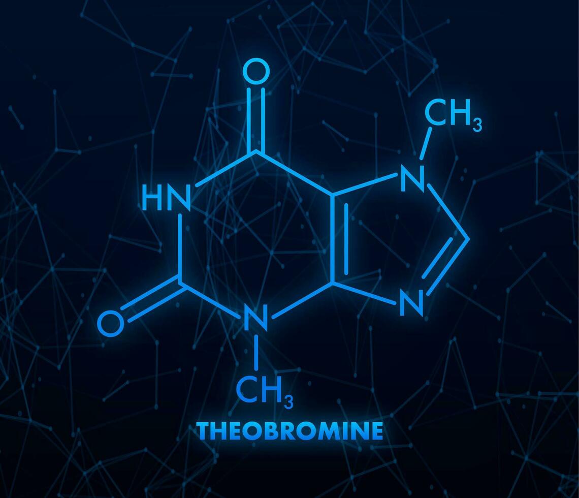 Theobromine chemical formula. Theobromine chemical molecular structure. vector