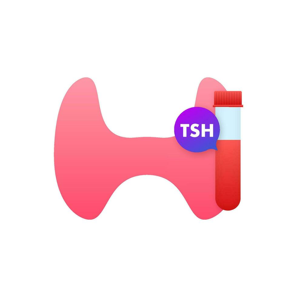 Anatomy of the thyroid gland, Thyroid of a human. Infographic for medical design. Vector illustration.