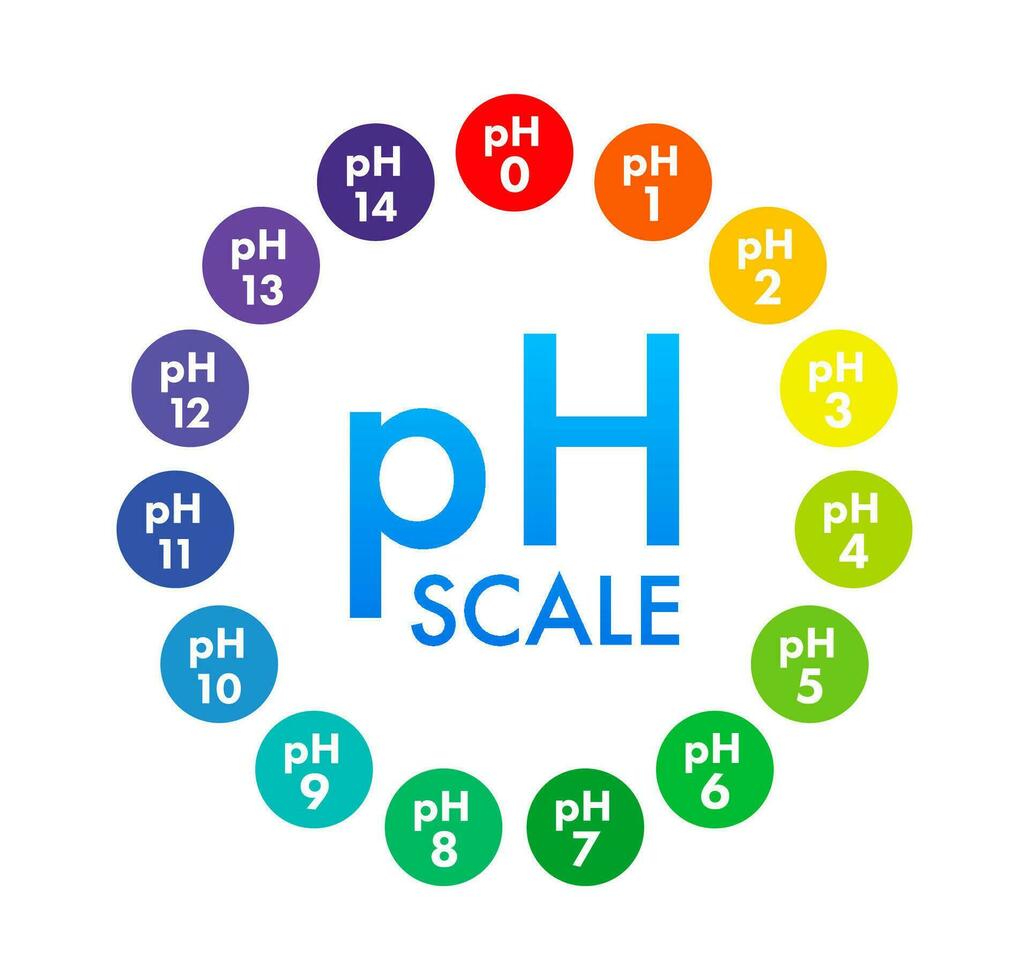 pH value scale meter. pH analysis chemical scale value test. Vector stock illustration