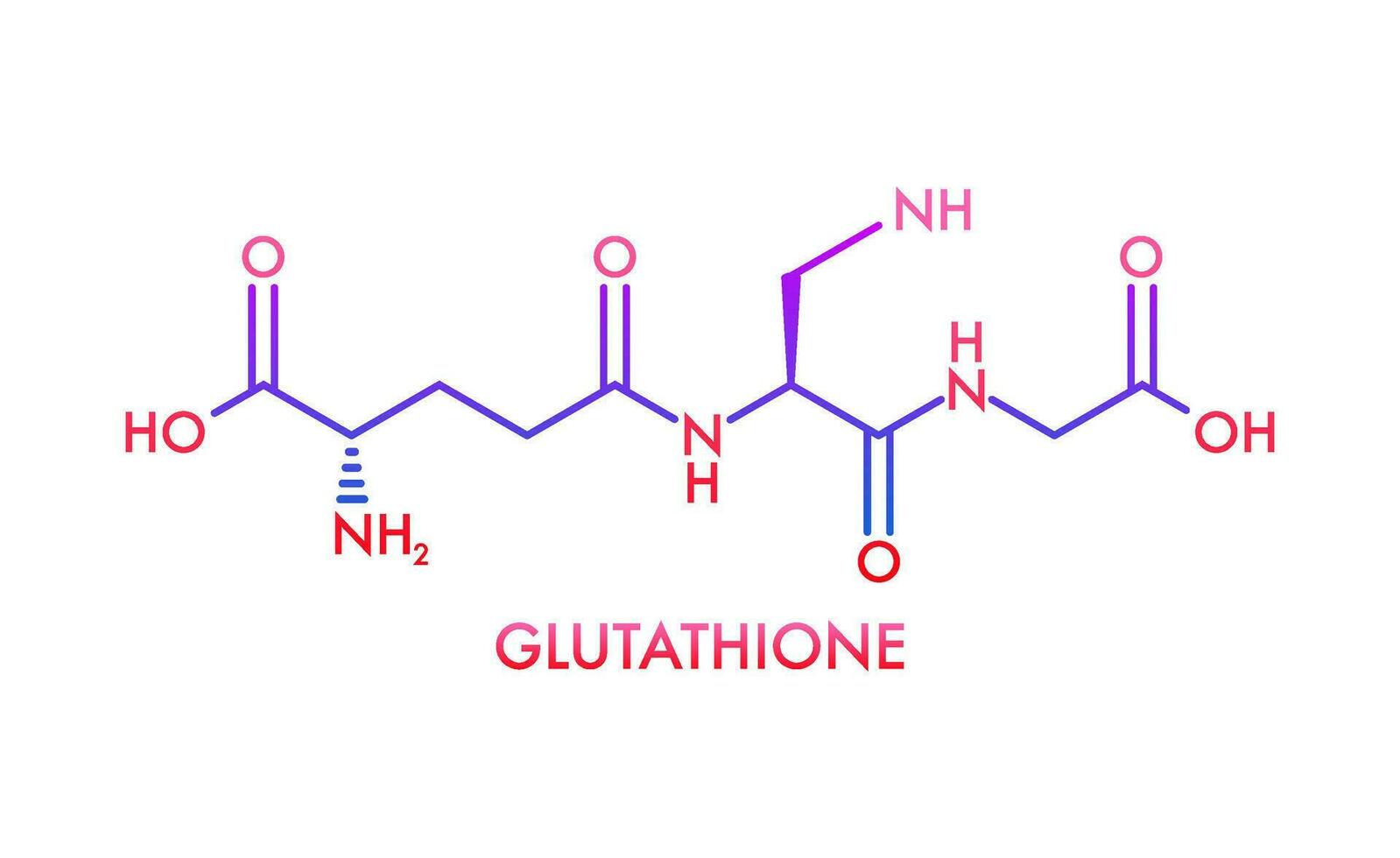 Glutathione chemical formula. Reduced glutathione, GSH. Vitamin solution complex. Vector stock illustration