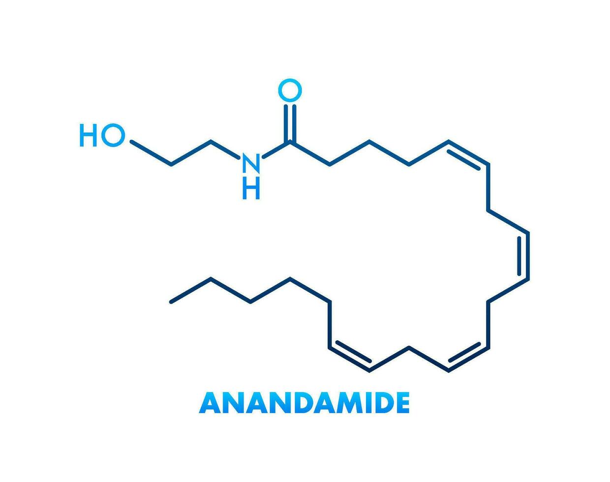 Anandamide concept chemical formula icon label, text font vector illustration.