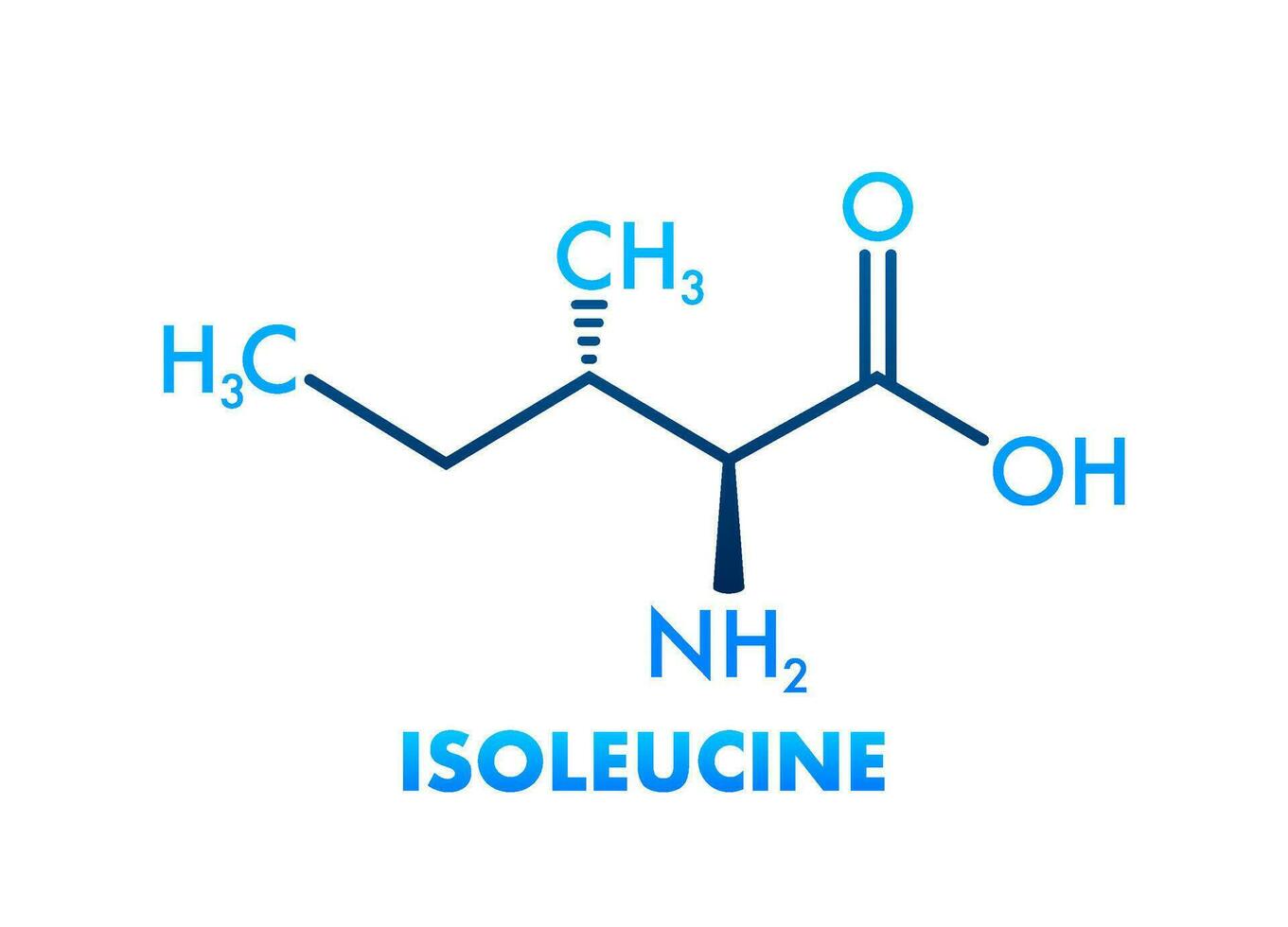 Isoleucine amino acid. Chemical molecular formula. Vector illustration