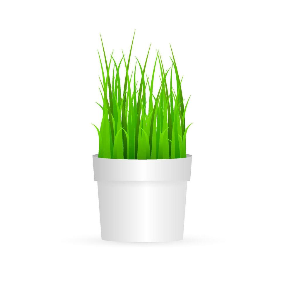 Fresh green grass in pot. Element of home decor. Vector stock illustration