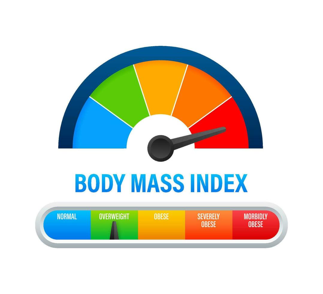 indicador bmi en blanco antecedentes. gráfico concepto. vector icono