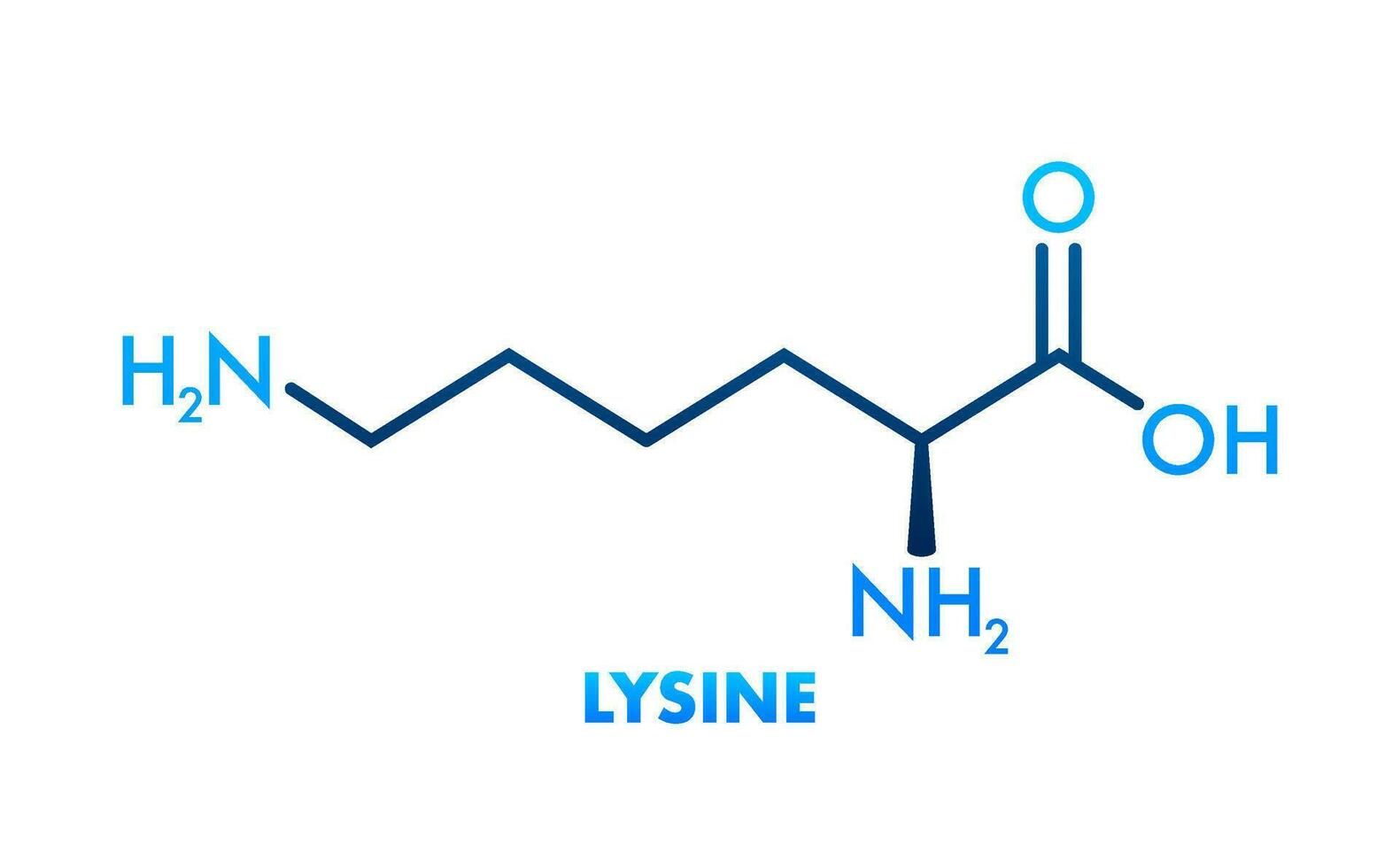 Lysine formula, great design for any purposes. Essential Amino Acid simple skeletal formula vector