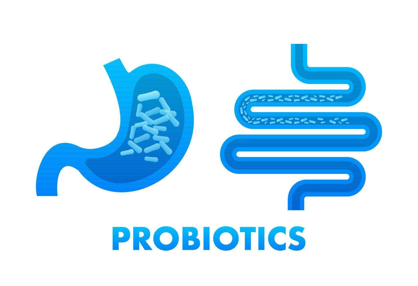 Probiotics. Probiotics examine the intestinal microflora, Biology. Vector stock illustration