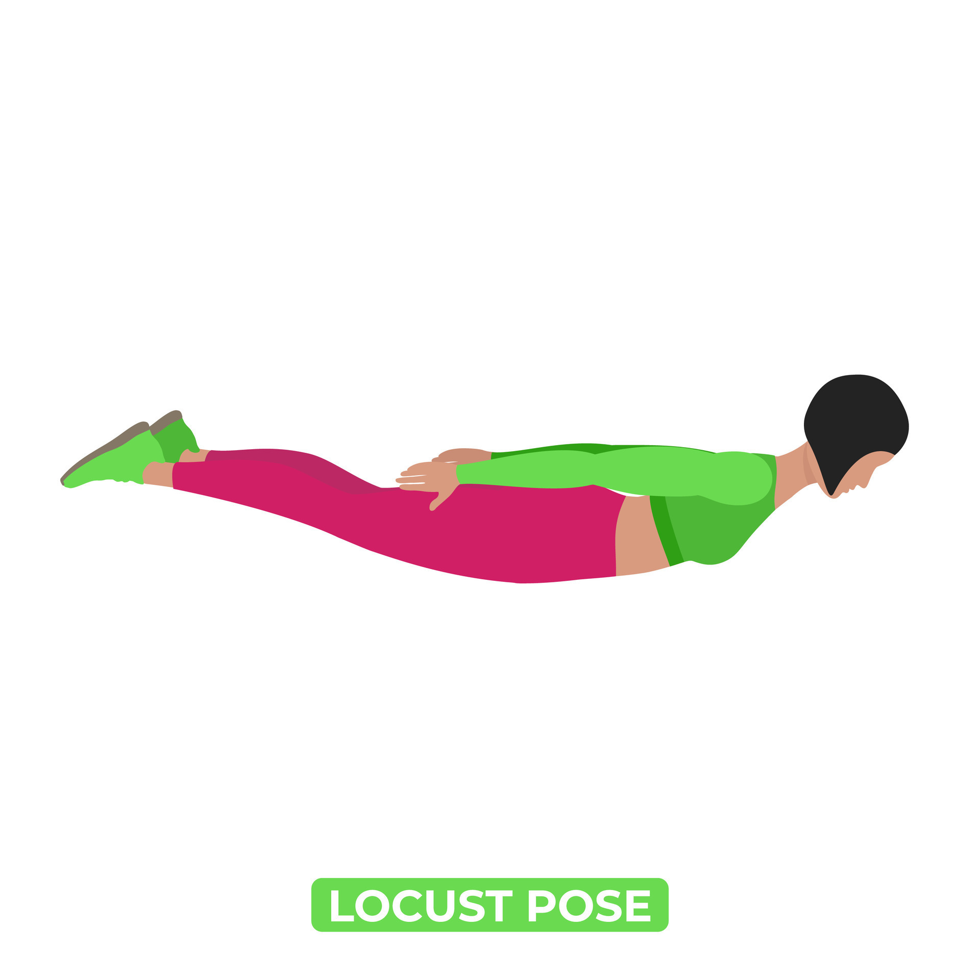 Vector Woman Doing Locust Pose. Salabhasana. Iron Man Pose. Bodyweight  Fitness Back and Core Workout Exercise. An Educational Illustration On A  White Background. 29923362 Vector Art at Vecteezy
