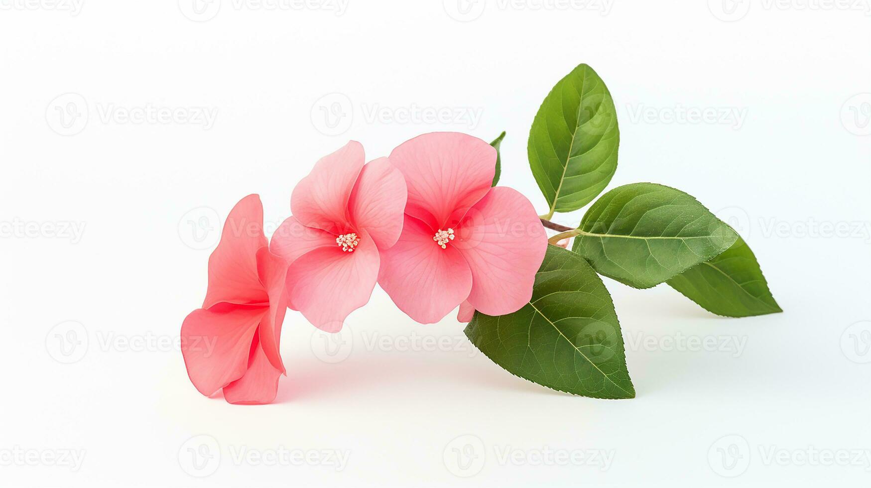 foto de hermosa impatiens flor aislado en blanco antecedentes. generativo ai