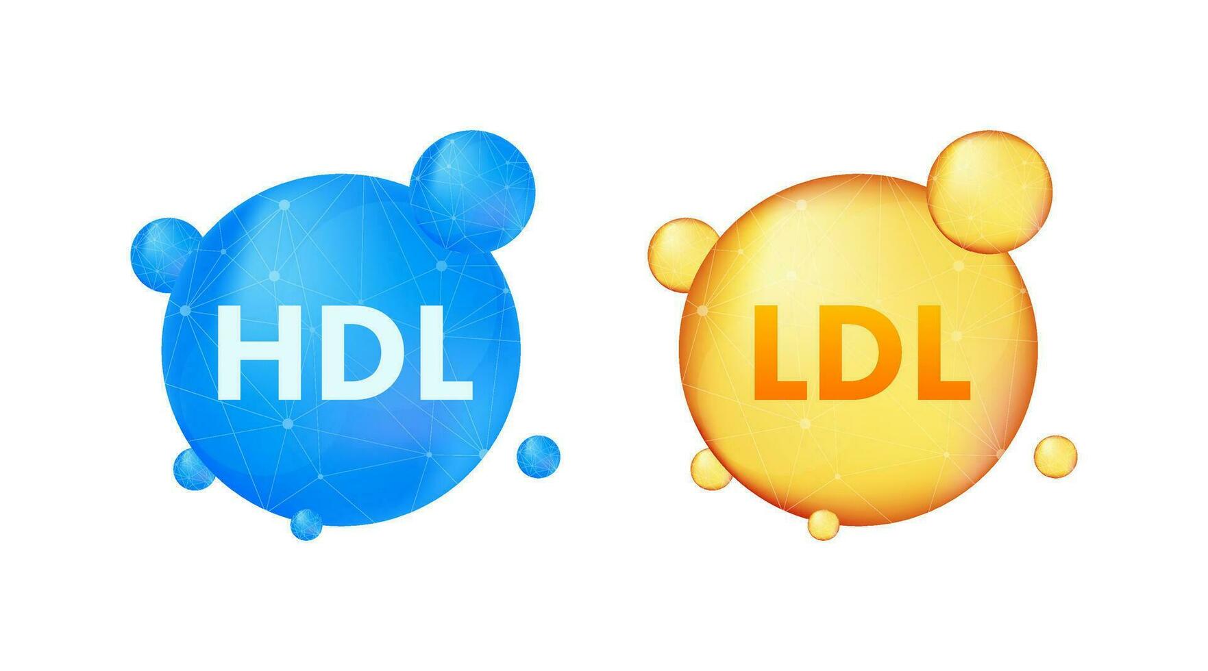 Hdl, great design for any purposes. Flat illustration. Vector flat illustration. Medical infographic