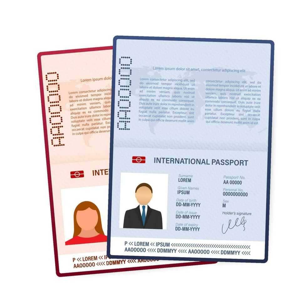 Blank open passport template. International passport with sample personal data page. Vector stock illustration