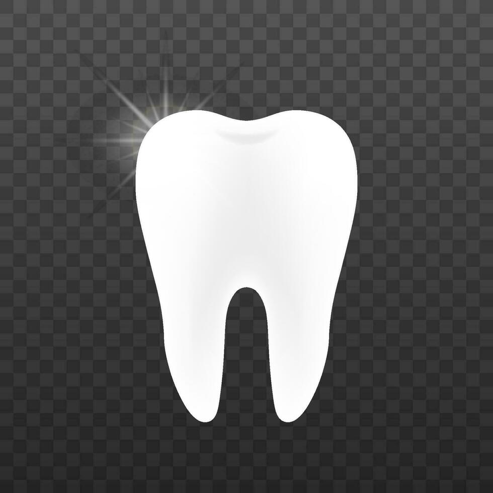 dientes icono dentista. sano dientes. humano dientes. vector valores ilustración