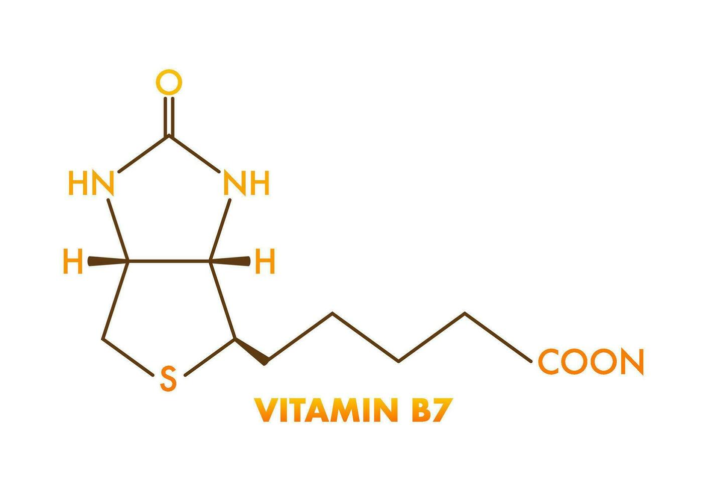 Vitamin b7 formula. Vitamin B7 biotin molecule. Skeletal formula. vector