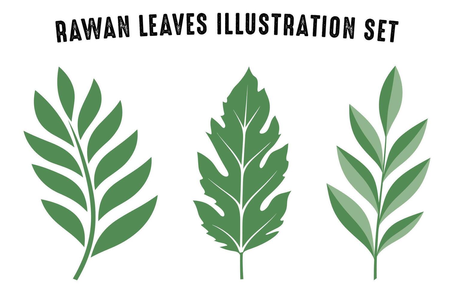 Set of colorful autumn leaves vector, Free Autumn forest leaf illustration bundle, Fall leaves collection vector