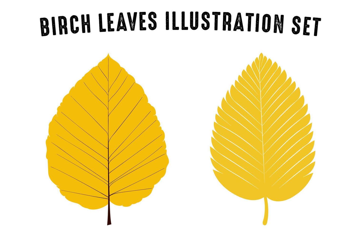 Set of colorful autumn leaves vector, Free Autumn forest leaf illustration bundle, Fall leaves collection vector