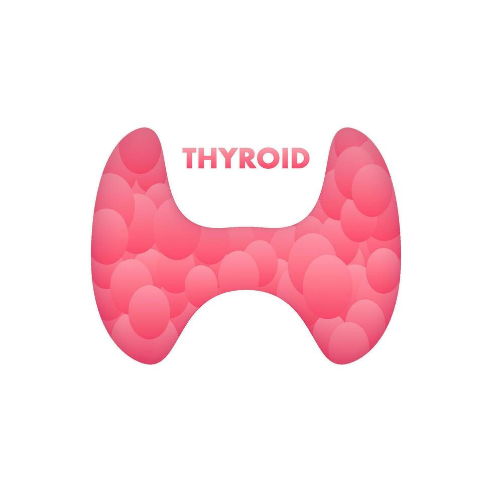 Anatomy of the thyroid gland, Thyroid of a human. Infographic for medical design. Vector illustration.