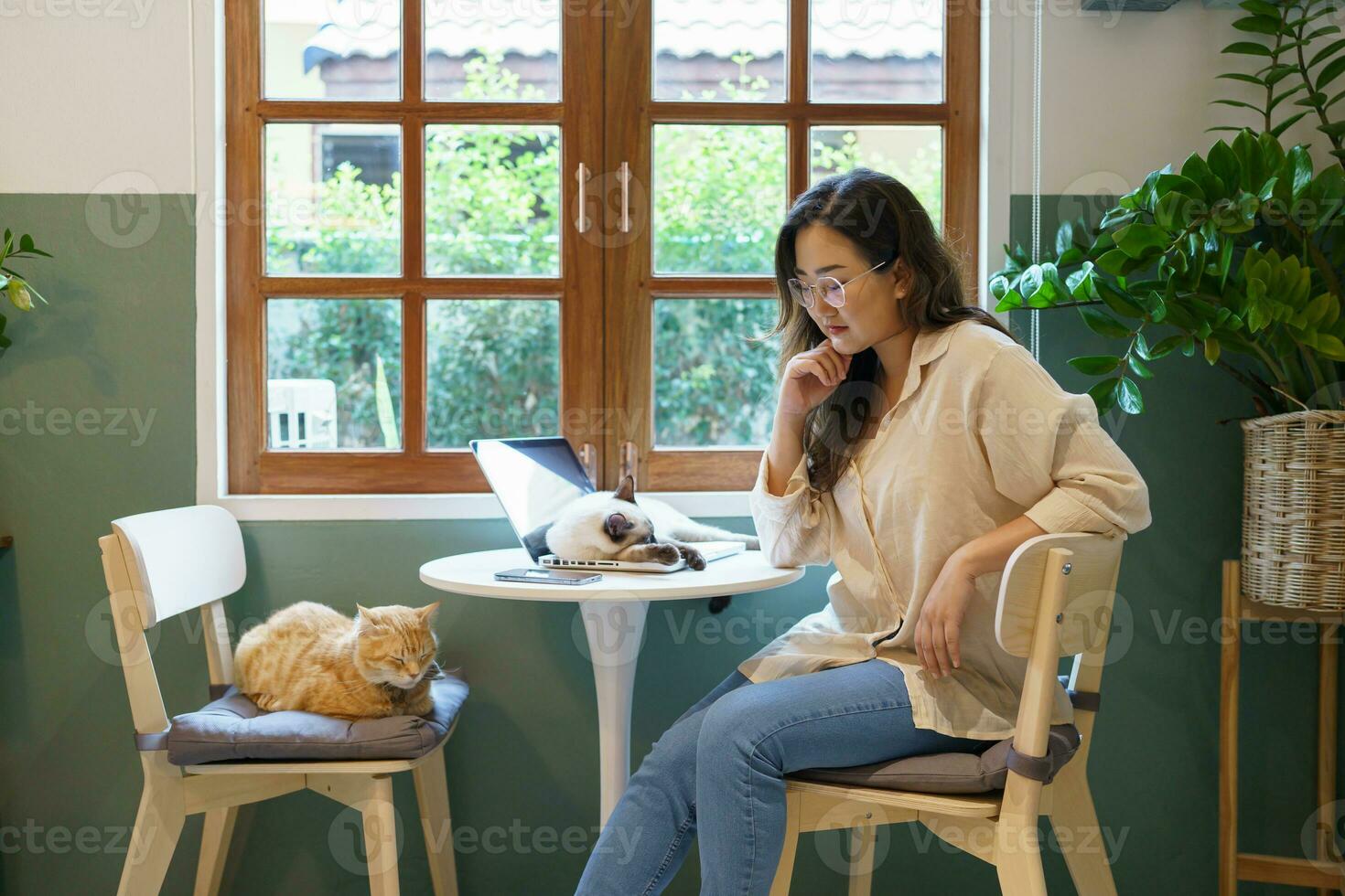 woman working from home with cat. cat asleep on the laptop keyboard. assistant cat working at Laptop photo