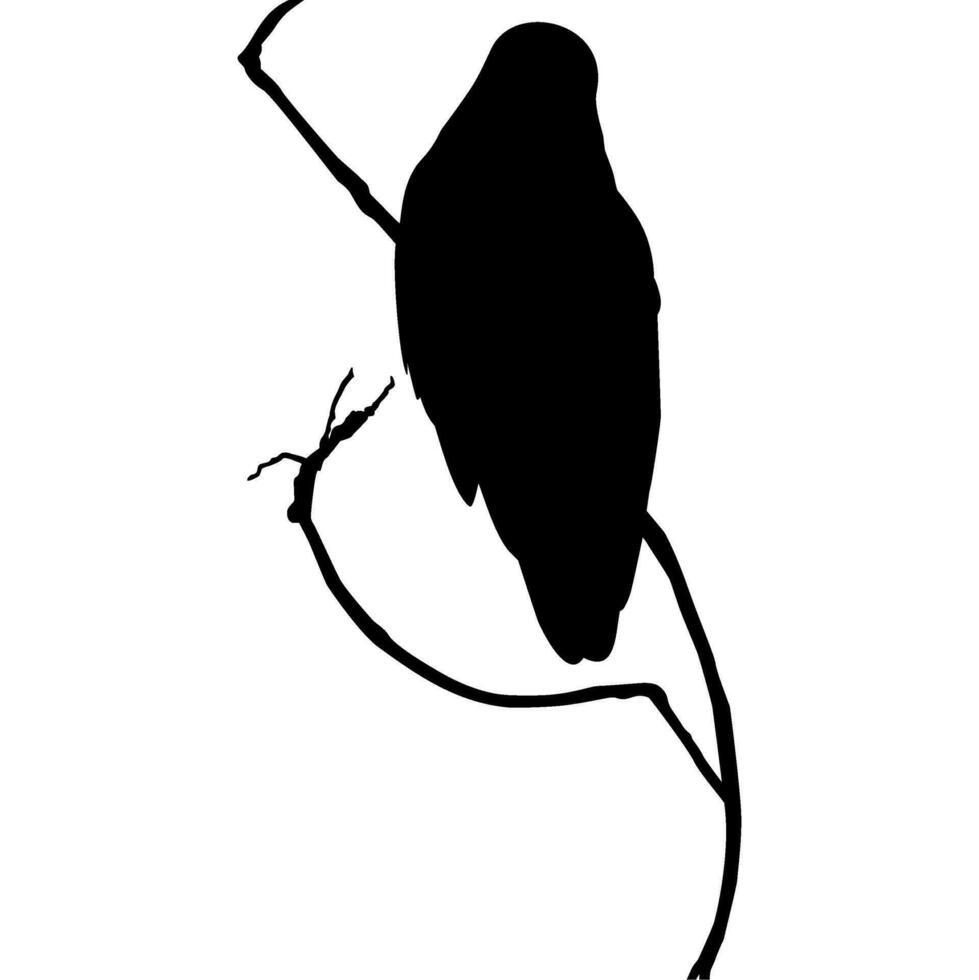 Bird Perched on the Branch of the Tree Silhouette. Vector Illustration