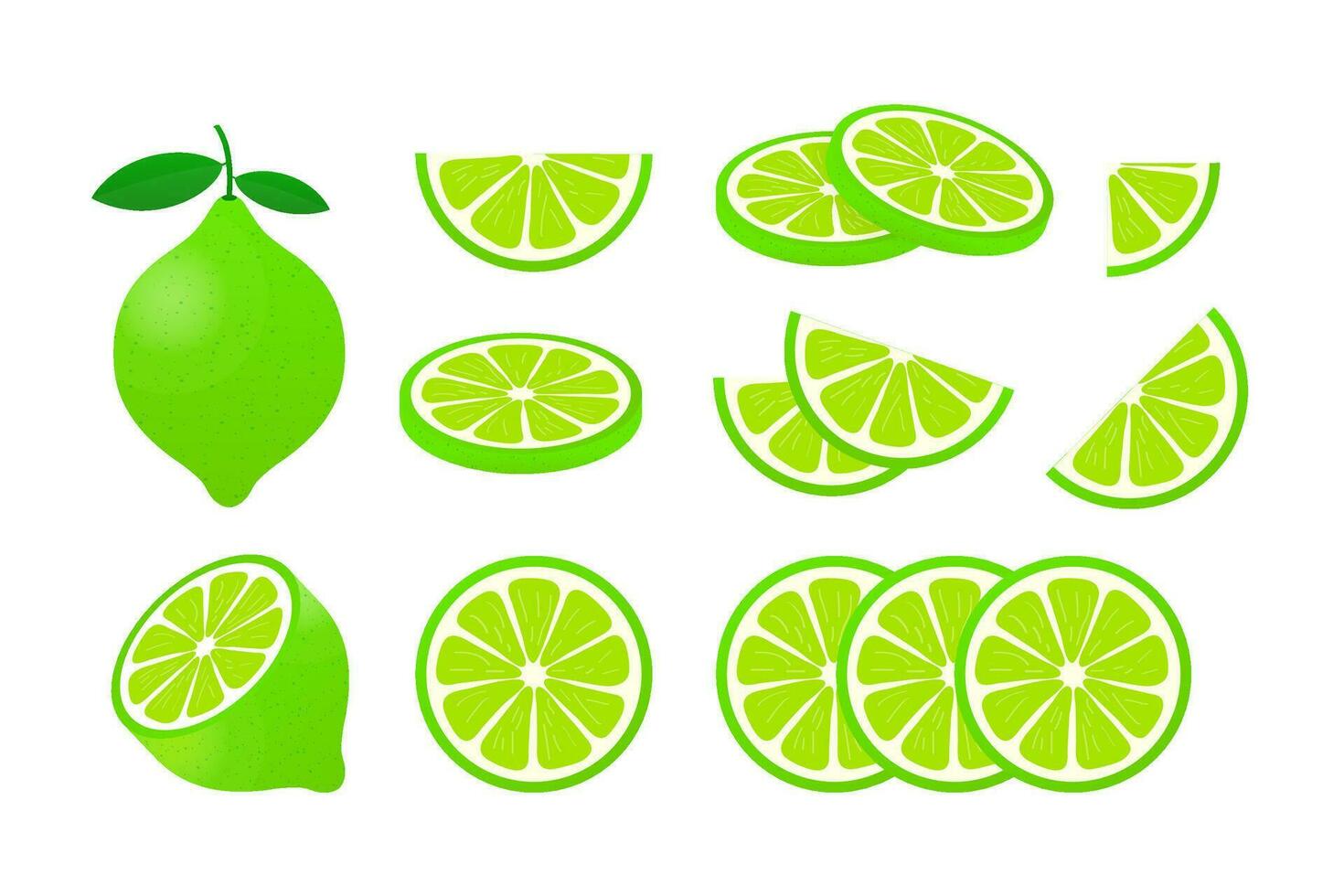 Lime with green leaves, slice citrus isolated on white background. Vector illustration