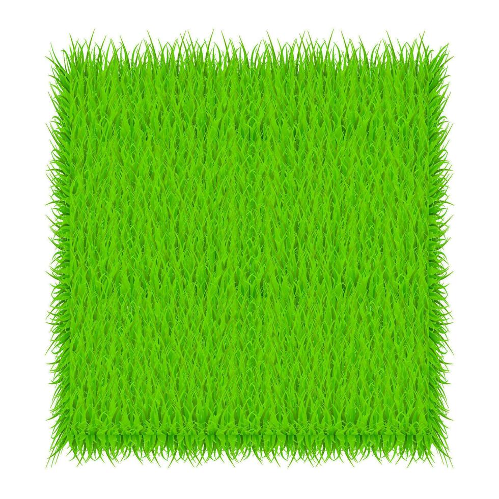 Circle With Grass, Green grass background. Frame. Vector Illustration.