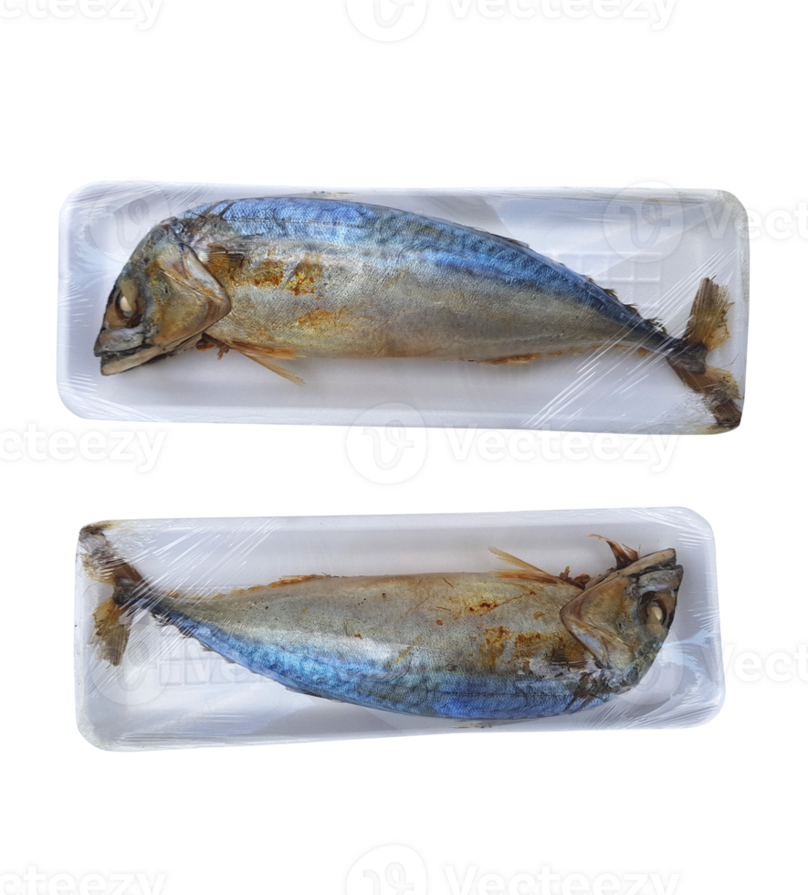 Mackerel in foam pack PNG transparent