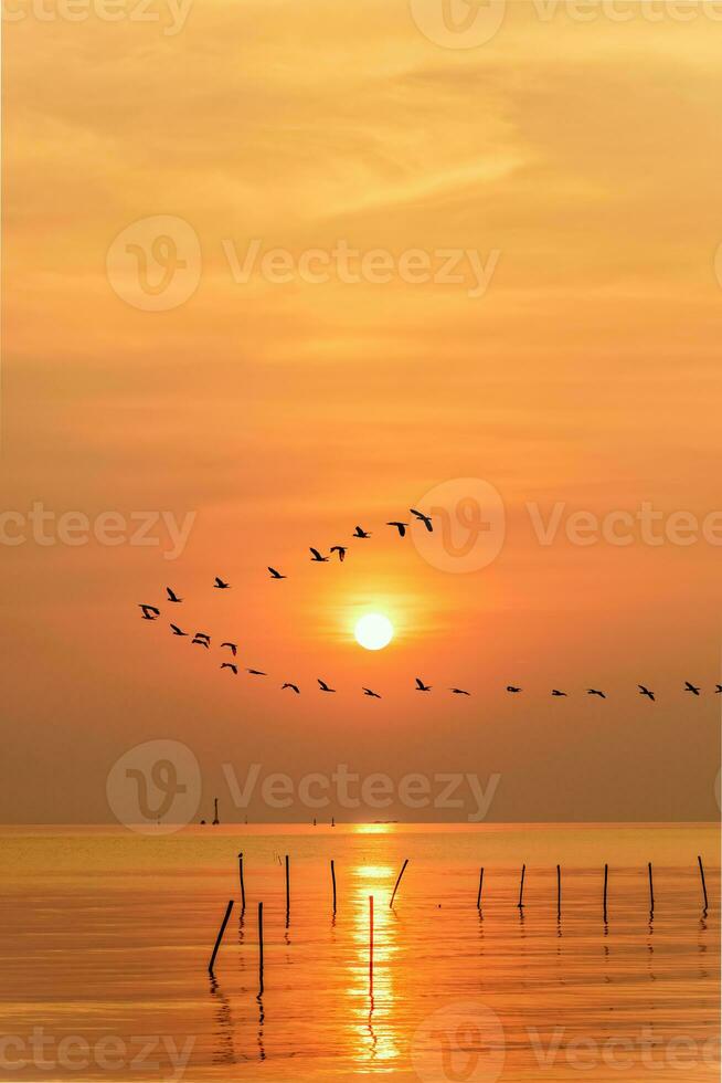 Seagulls flying in a line through the sun at sunset photo