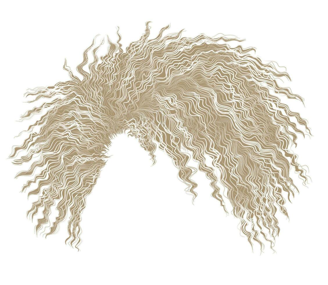 curly disheveled african blond  hair vector