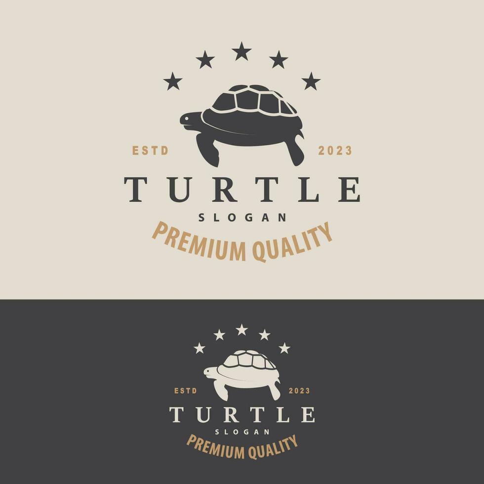 Turtle Logo Design Vector Illustration Symbol Template