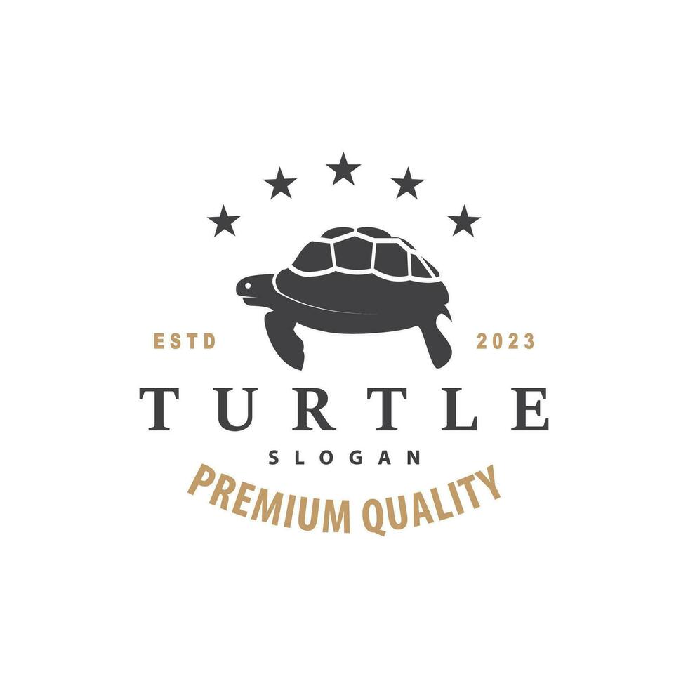 Turtle Logo Design Vector Illustration Symbol Template