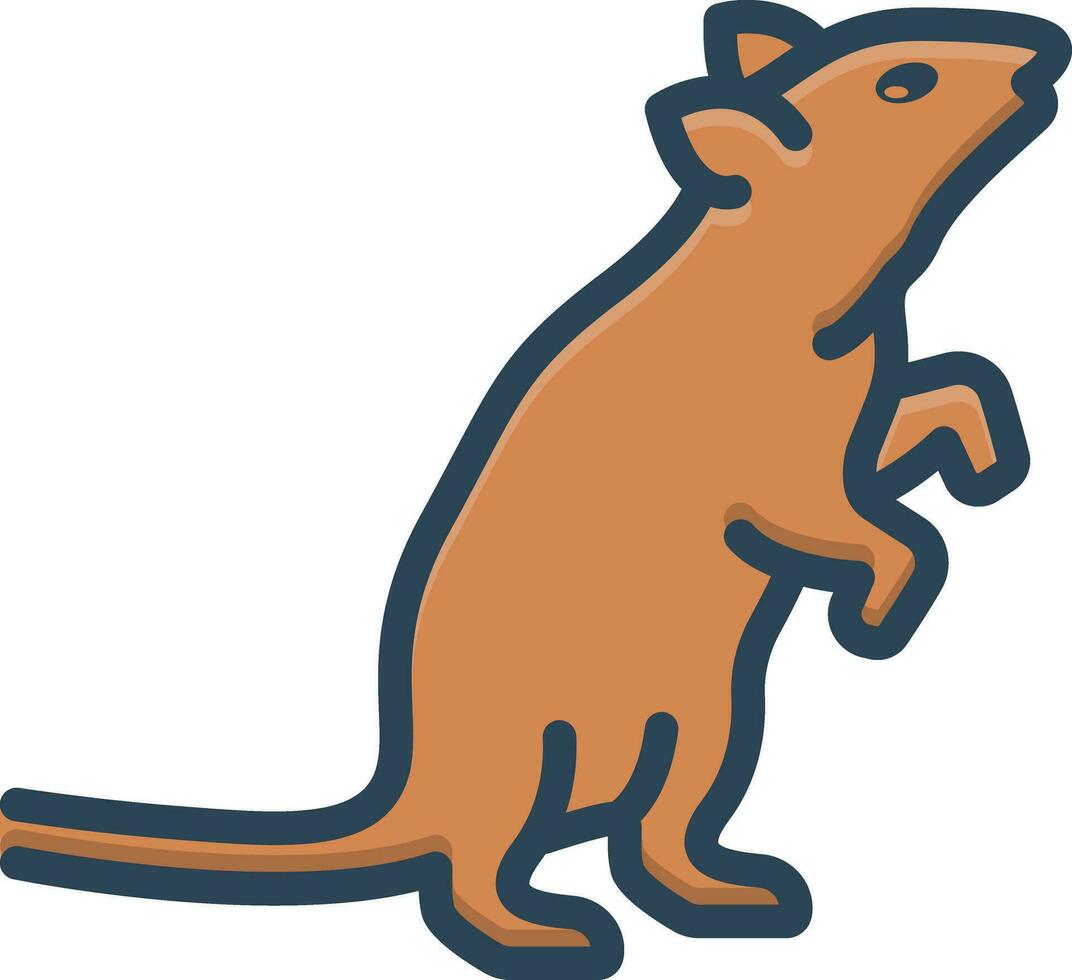 color icon for rat vector