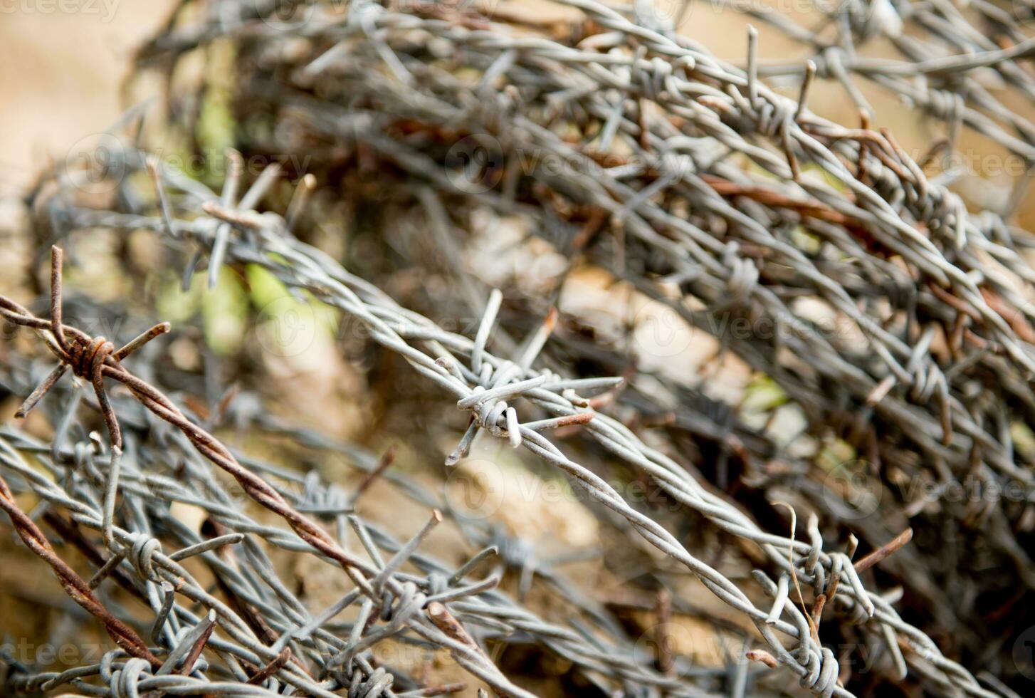 old rusty barbed wire photo