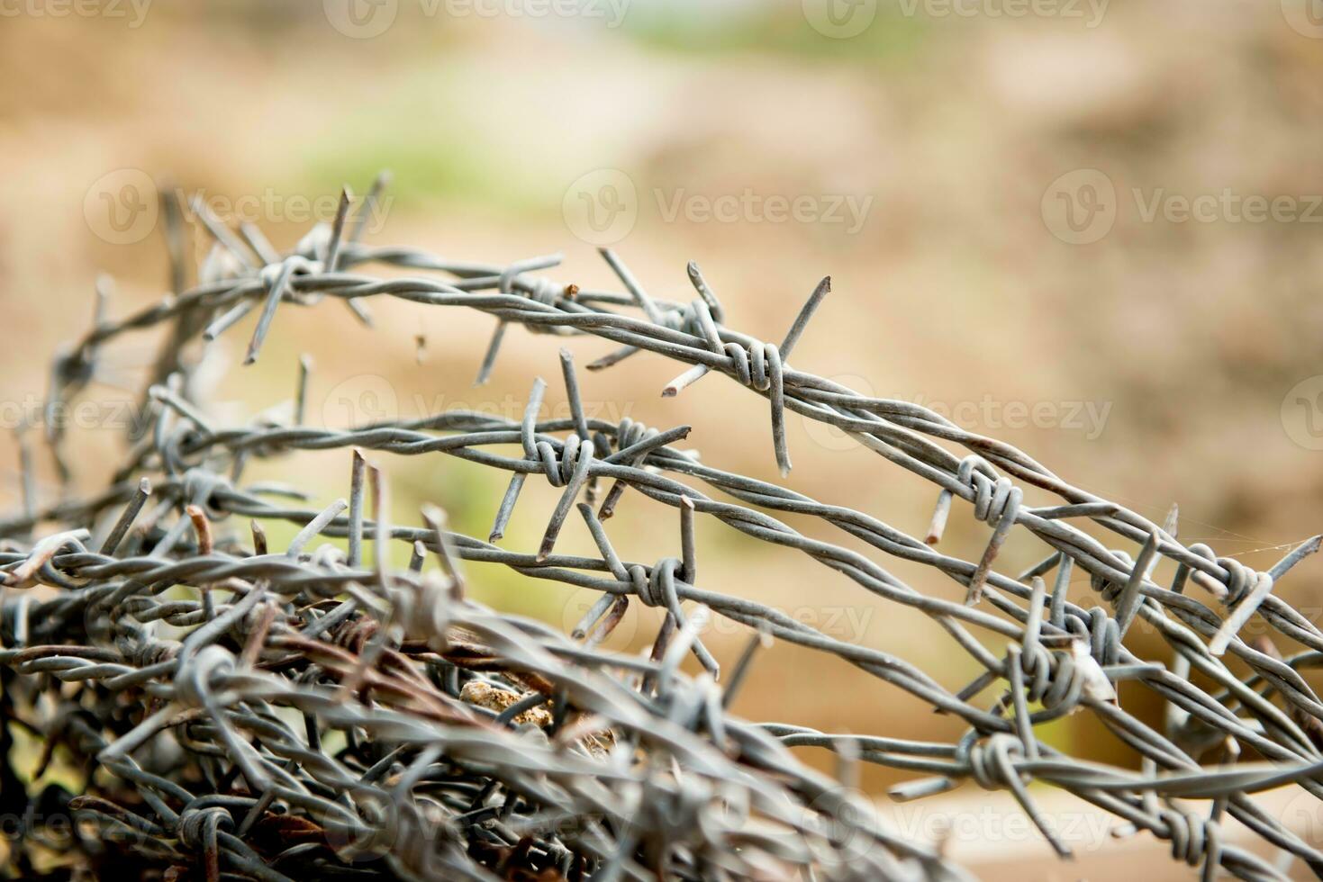 old rusty barbed wire photo