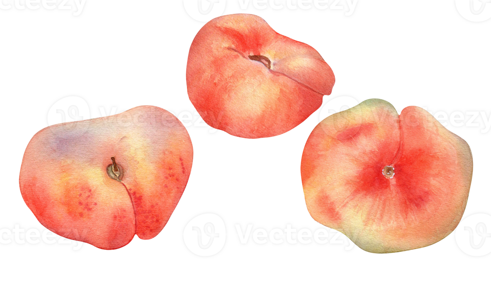 Set of chinese flat fig peaches pink watercolor illustration. Watercolor painted pink fruits drawing. Food illustration hand drawn, design element for package, label. png