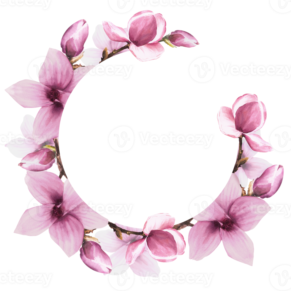 Floral round spring frame with watercolor pink magnolias flowers, bough, leaves and buds. Hand painted illustration. Botanical set for wedding, invitations and greeting cards png