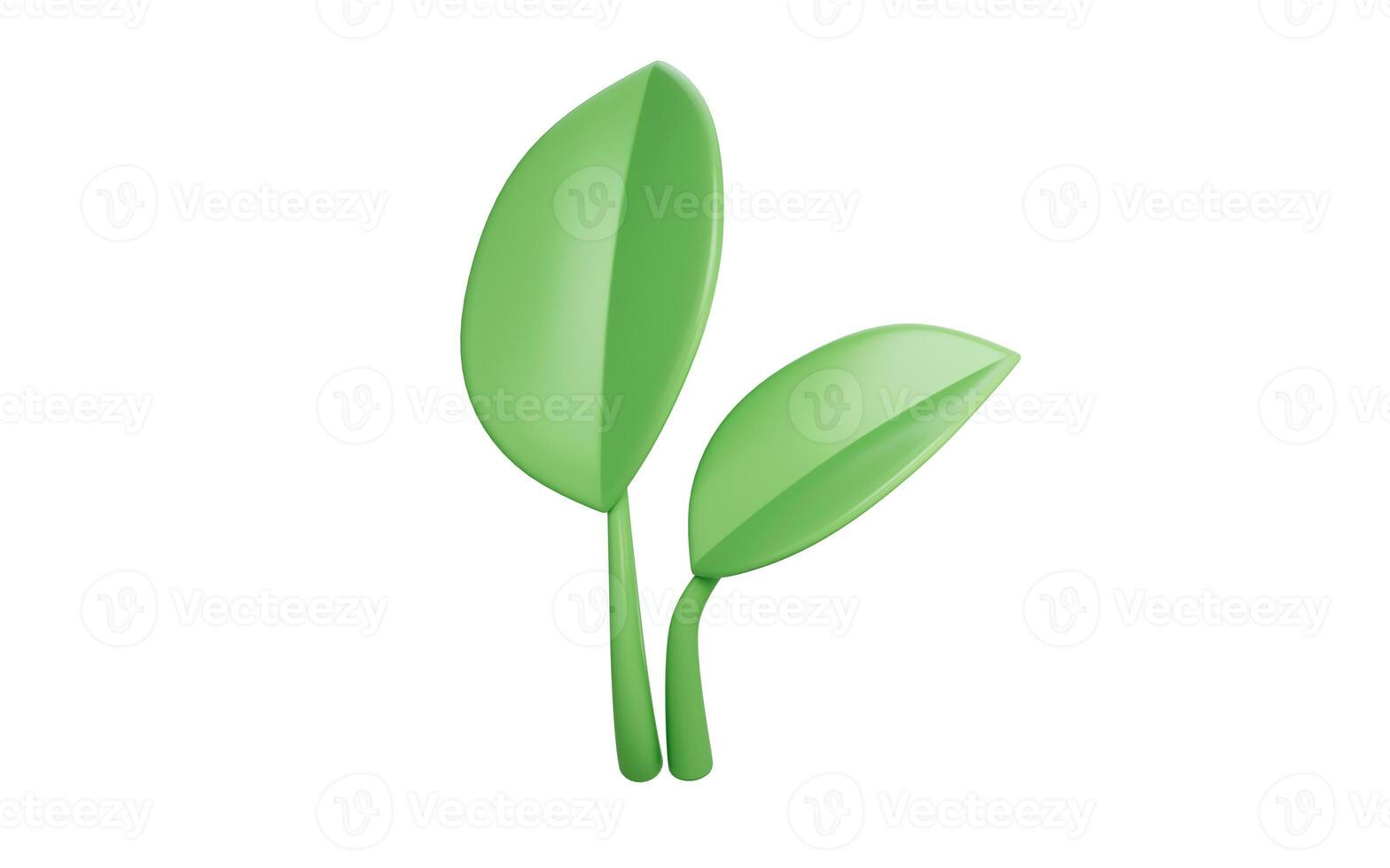 Green leaf with cartoon style, 3d rendering. photo