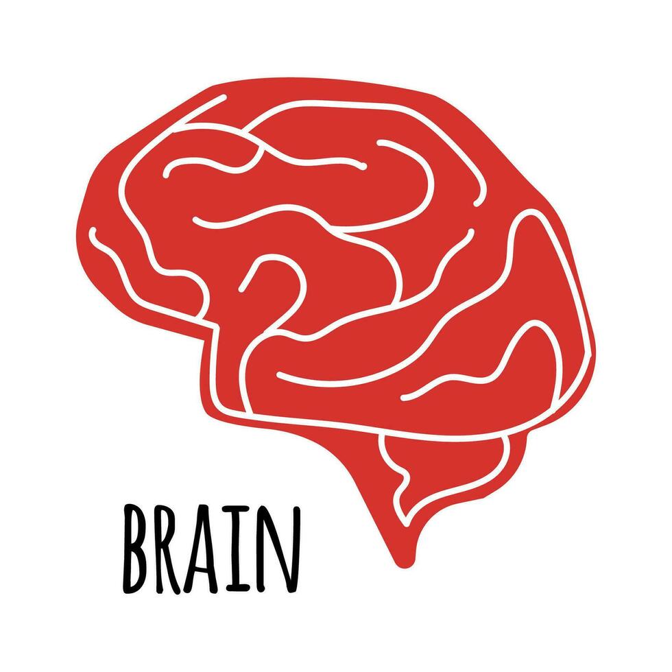 cerebro ilustración en blanco antecedentes. plano estilo. vector