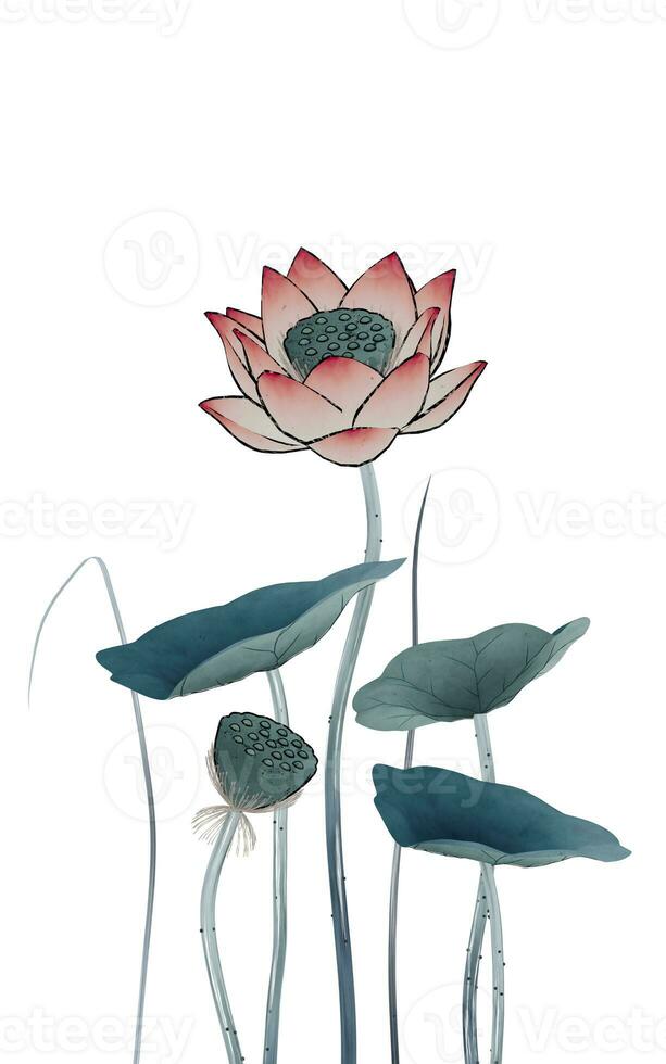 Chinese retro painting style lotus illustration. photo