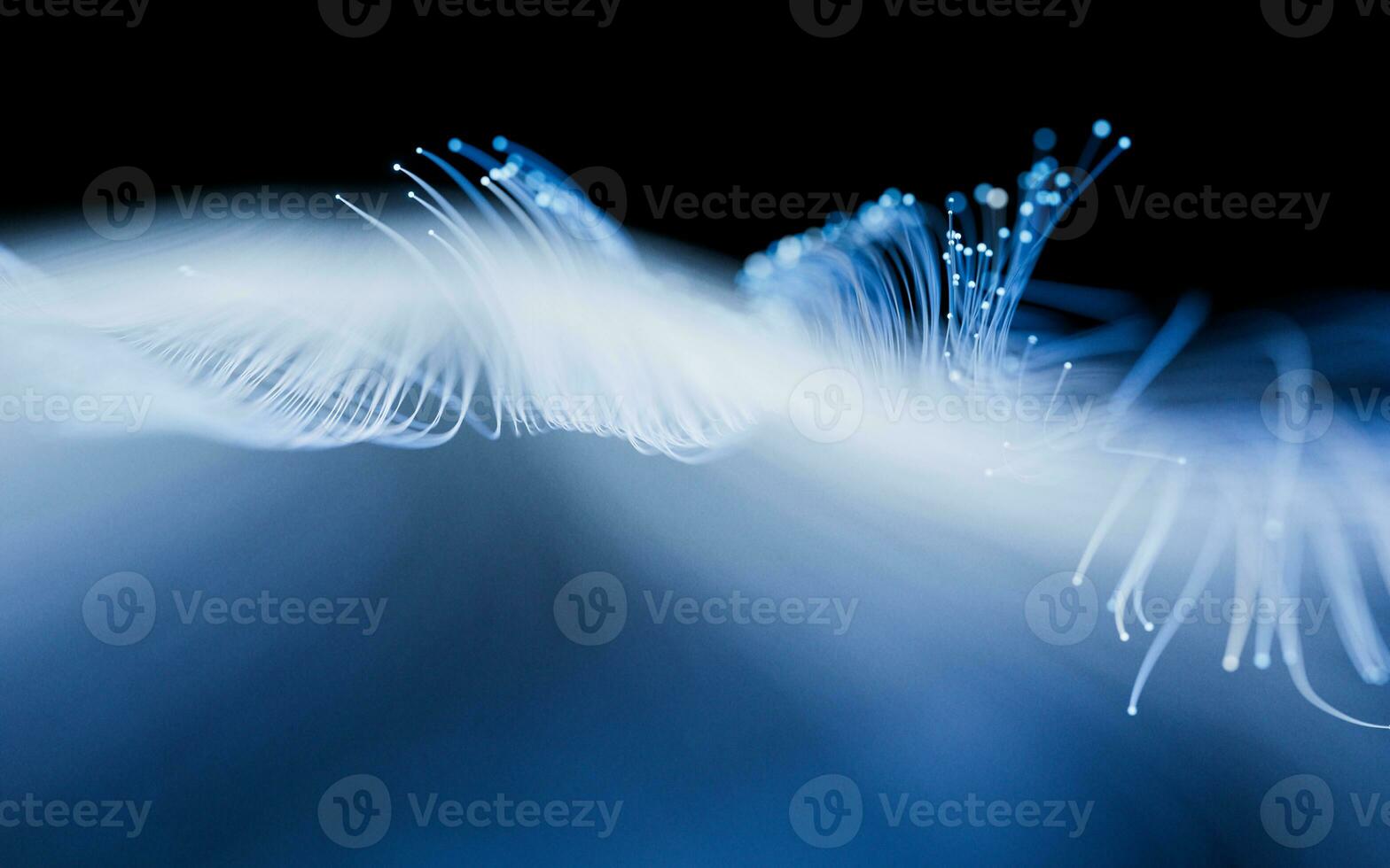 Flowing neon curve lines background, 3d rendering. photo