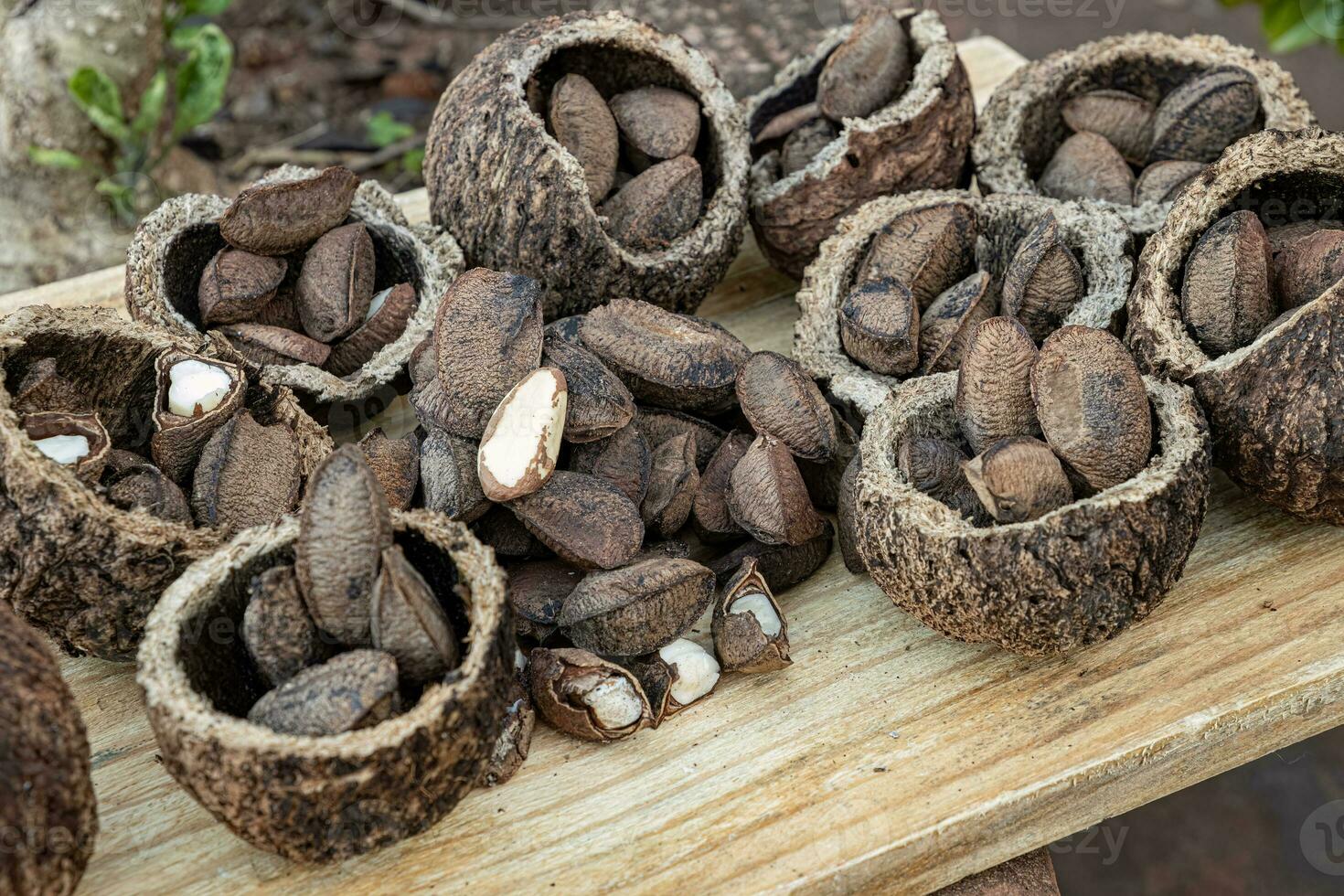 Brazil nuts on a board photo