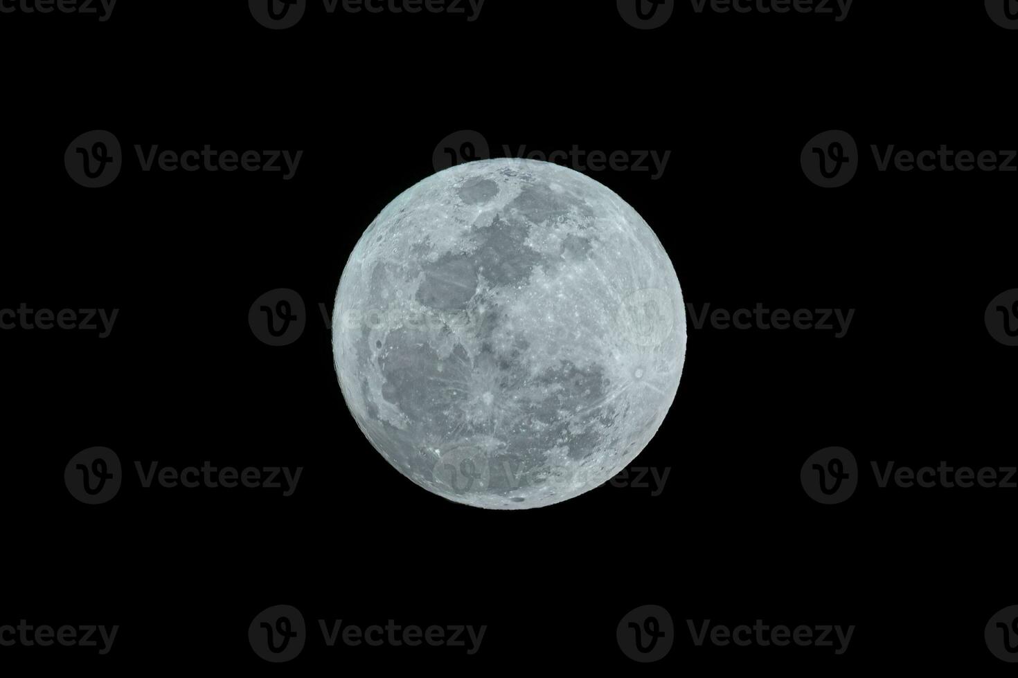 closeup of a blue moon photo