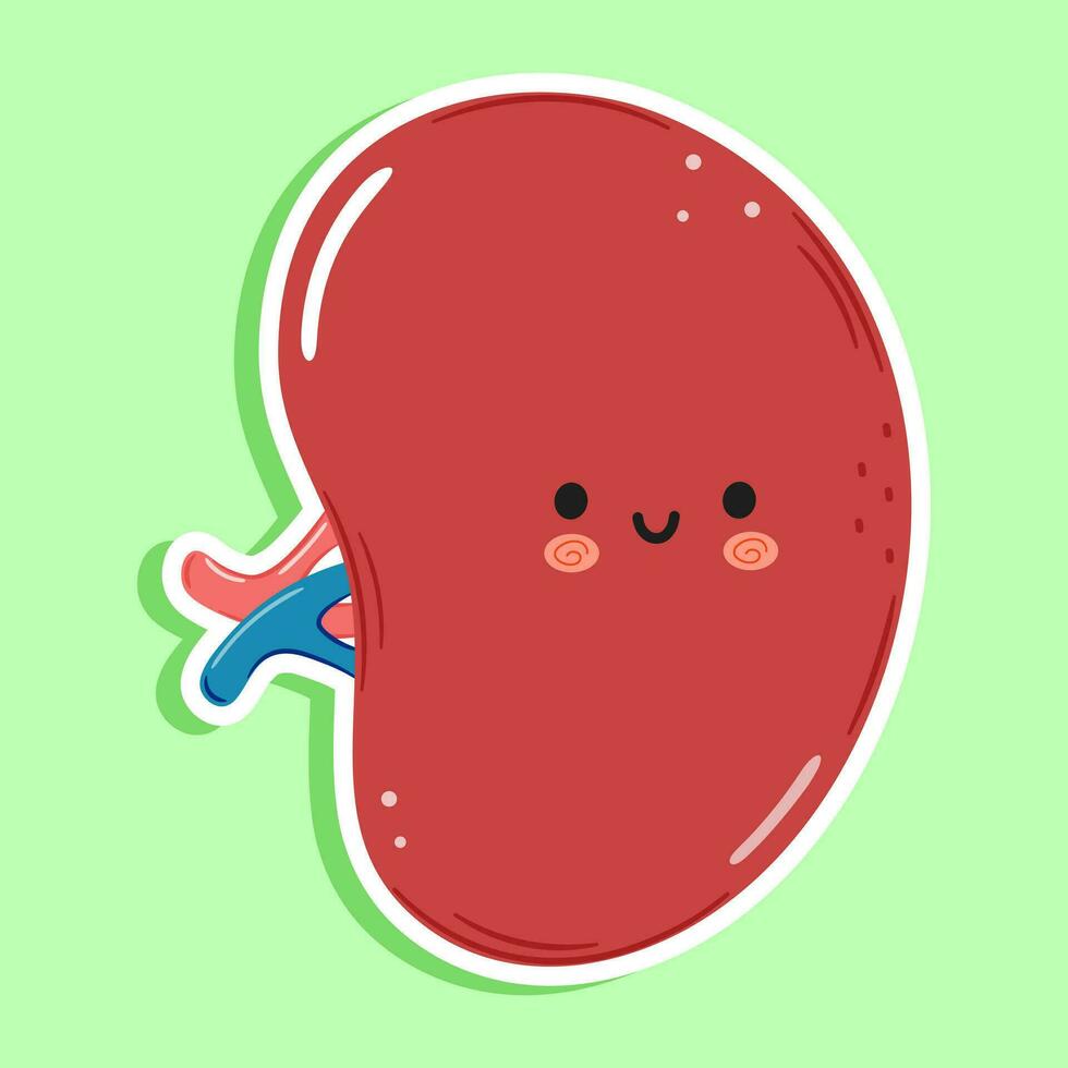 Cute funny sticker Spleen organ character. Vector hand drawn cartoon kawaii character illustration icon. Isolated on green background. Spleen organ character concept