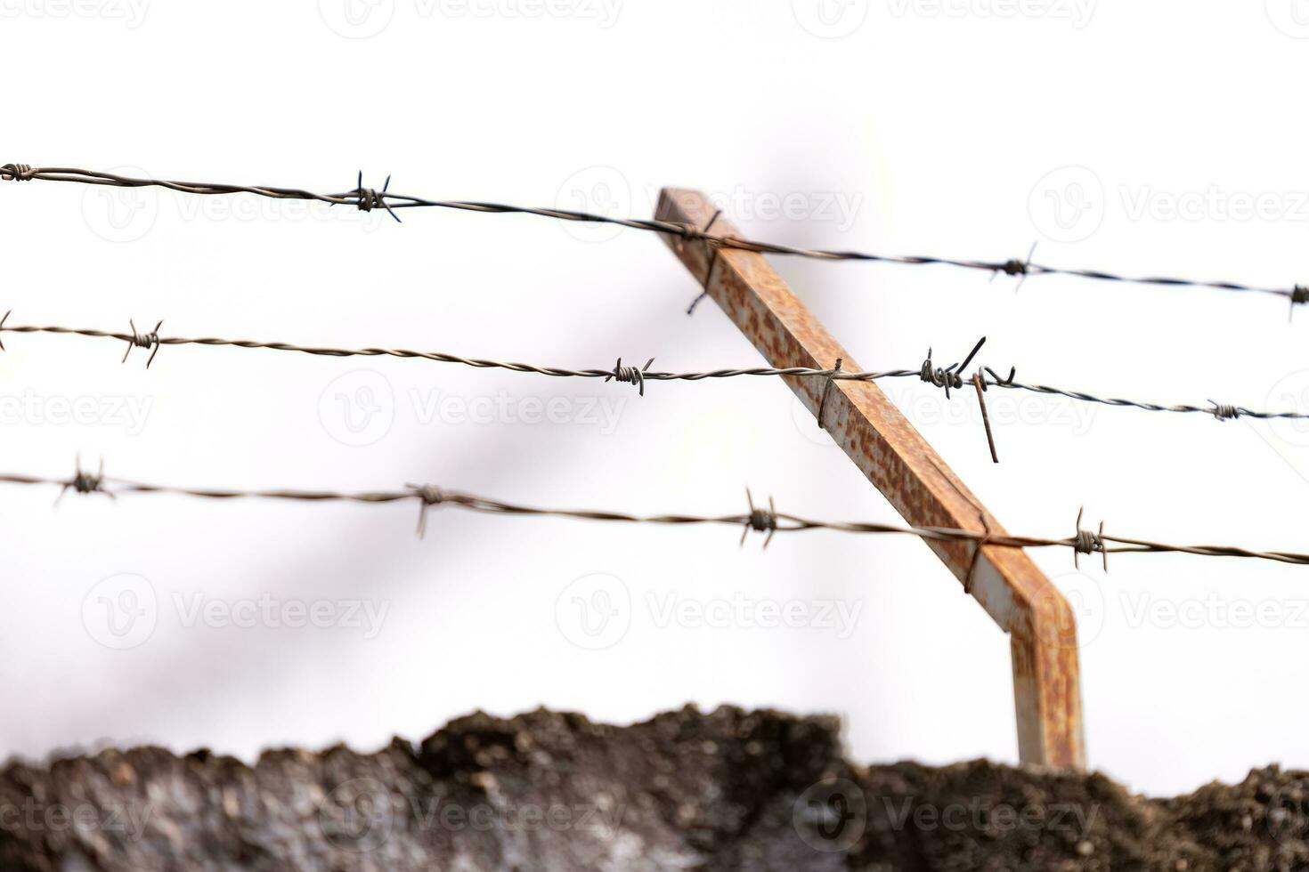 barbed wire on top of a fence photo