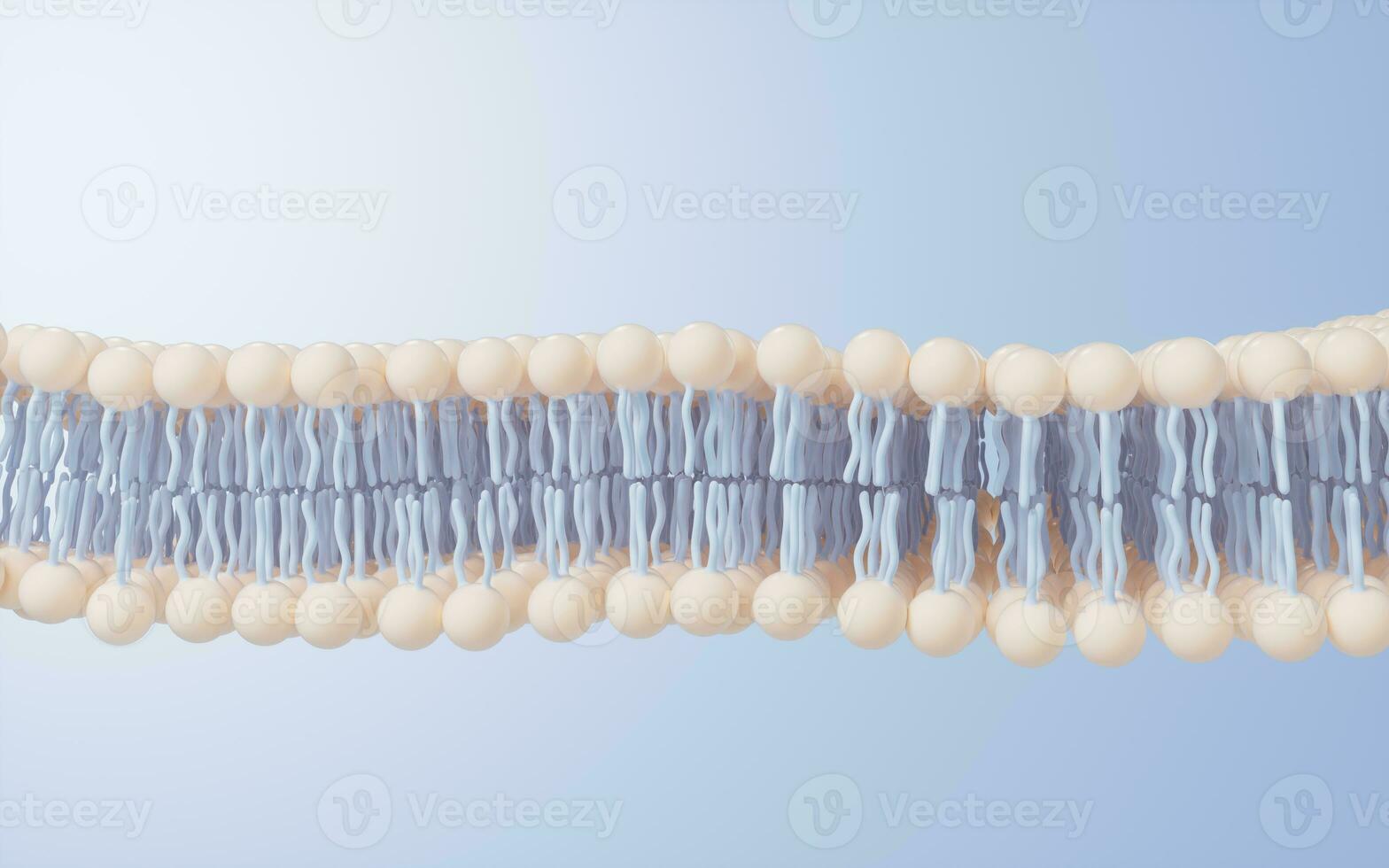 Cell membrane structure background, 3d rendering. photo