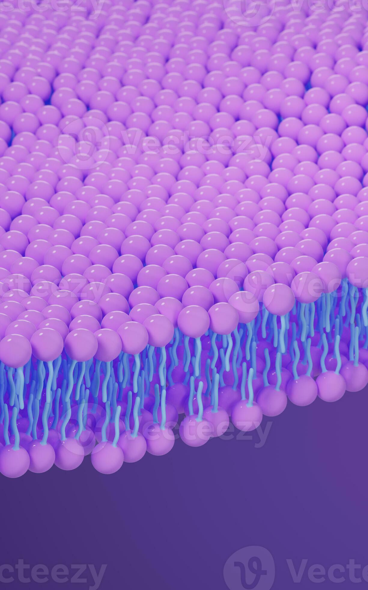 Cell Membrane Structure Background 3d Rendering 29942112 Stock Photo