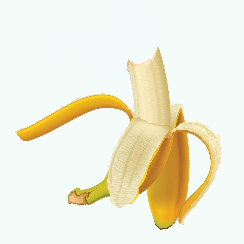 picture of banana vector