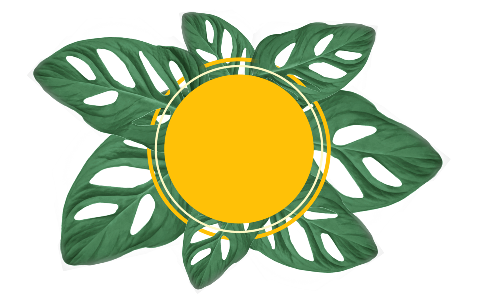 frame made of leaves isolated on transparent background png