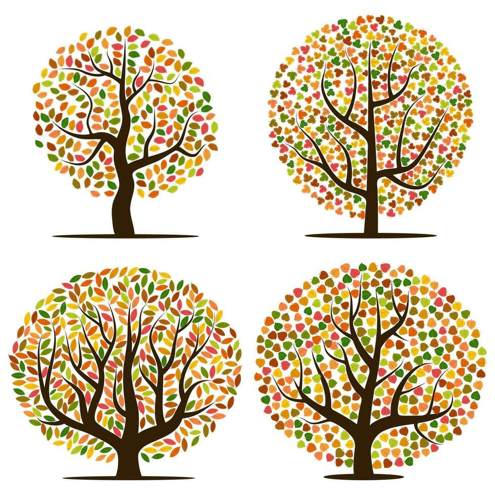 Set of four autumn trees with yellow, orange, brown and green leaves. Vector illustration