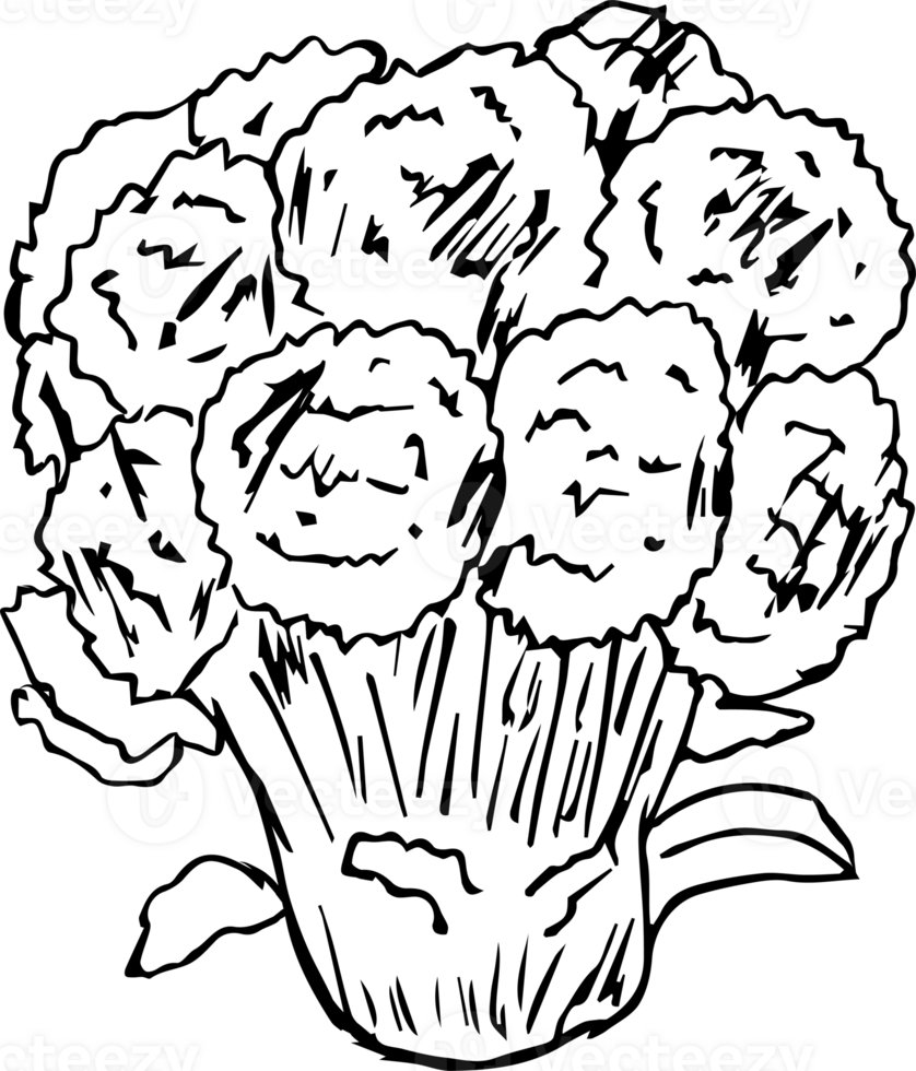 Hand drawn broccoli on transparent background. png